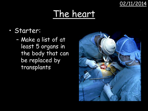 OCR gateway B3: The heart