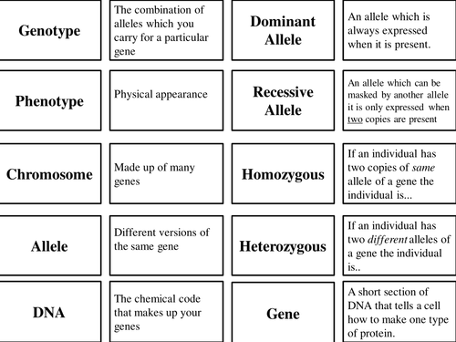Genetics: keyword card sort / loop cards / dominos