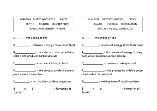 Carbon cycle on the worksheet Carbon And