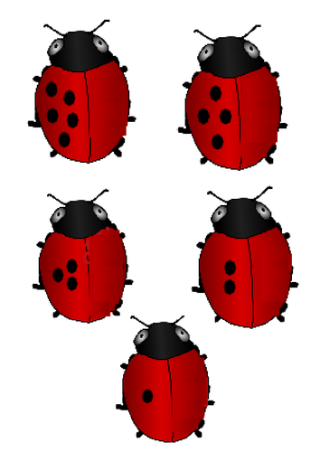 Ladybird doubles | Teaching Resources