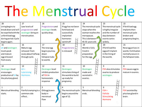 The Menstrual Cycle Game