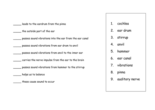 Ear Parts | Teaching Resources