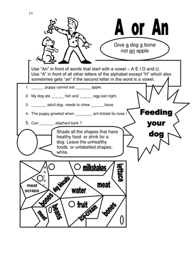 Dog Theme: a/An and Feeding your dog