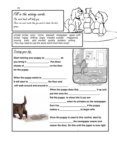 Dog theme PUPPY TRAINING