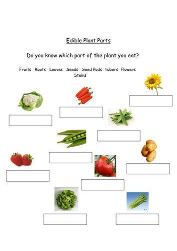 Edible plant parts