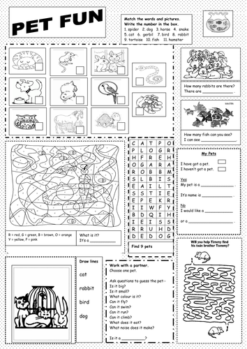 Animals worksheet | Teaching Resources