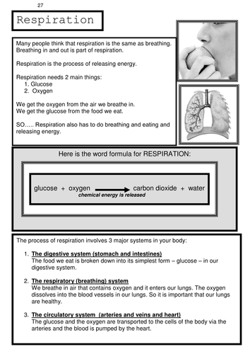 Unit 9b RESPIRATION  SET 2