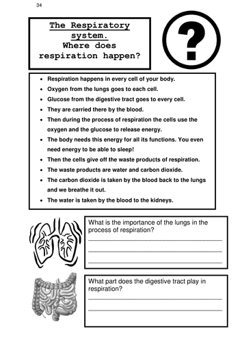 Unit 9b RESPIRATION 6