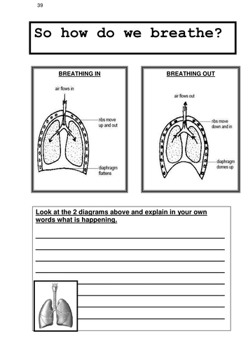 Unit 9b RESPIRATION 10