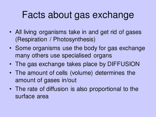 Gas exchange | Teaching Resources