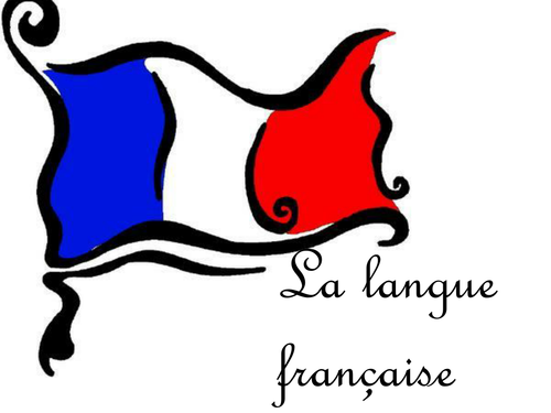 La langue française - language and idioms