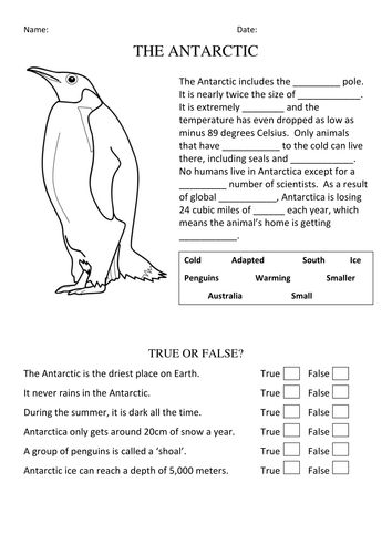 worksheet habitat animal 3 grade Antarctic Animals by   Habitats and Teaching danrock