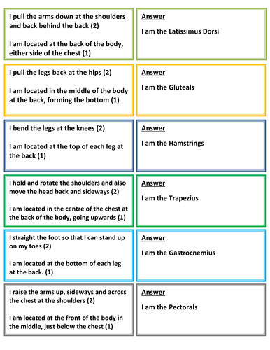 Flip Question Muscle Description Cards