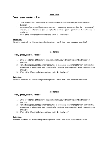 Food chains Hook activity