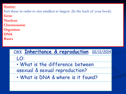 Variation & Reproduction powerpoint