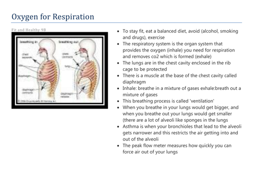 Oxygen for Respiration