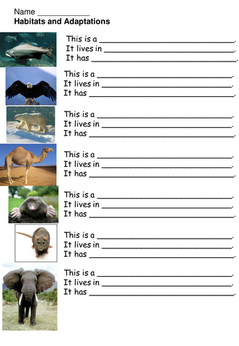 animal worksheets 4th grade Tes  Teaching  Animal Resources mininin adaptations   by