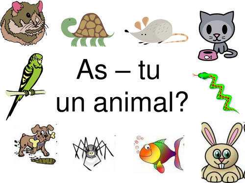 As-tu un animal?