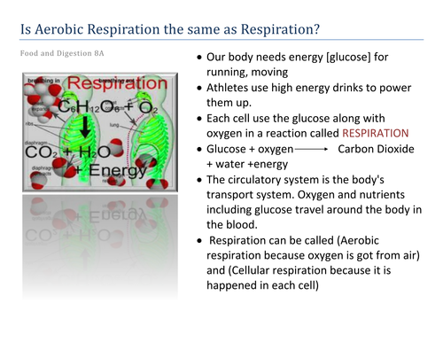 Is Aerobic Respiration the same as Respiration?