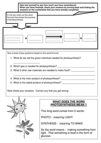 PHOTOSYNTHESIS How do plants make food 3.