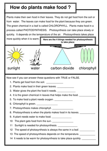 Photosynthesis HOW DO PLANTS MAKE FOOD