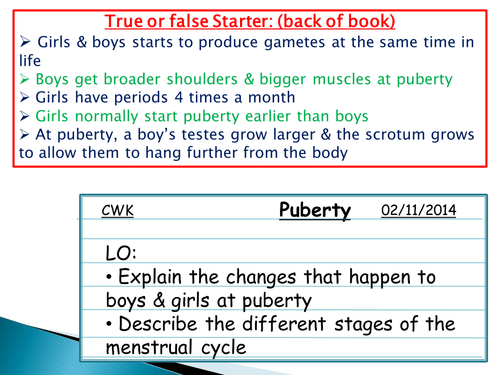 The Menstrual Cycle