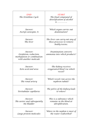 F214 Excretion Revision Loop Game