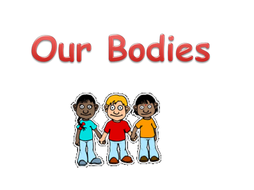 Our body 2 grade презентация