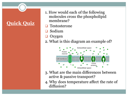 Active transport processes