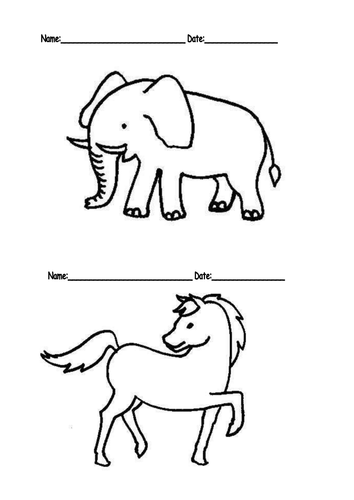 animal tracing cards teaching resources