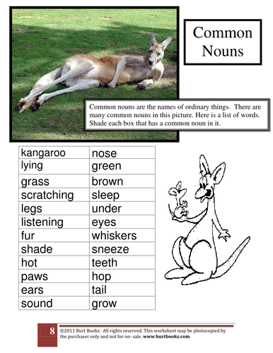 Common Nouns | Teaching Resources