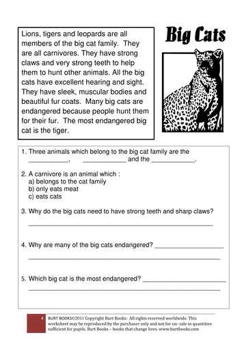 report animal worksheet Comprehension Big Teaching by Skills   Cats coreenburt