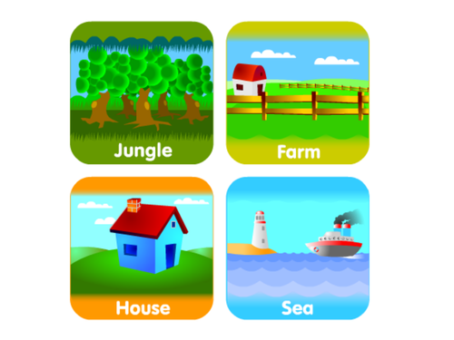 Sorting animals | Teaching Resources