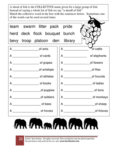 collective nouns vocabulary work by coreenburt teaching resources