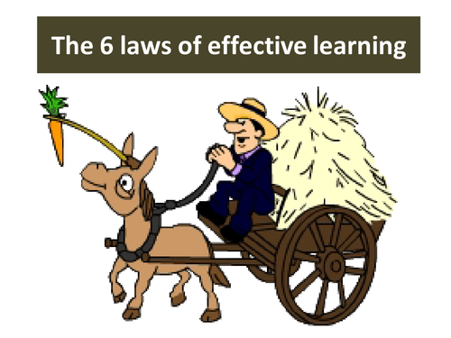 The 6 laws of effective learning