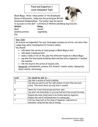 digestion assessment