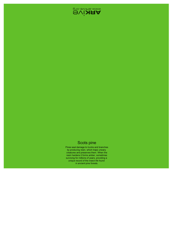 ARKive's Christmas Origami