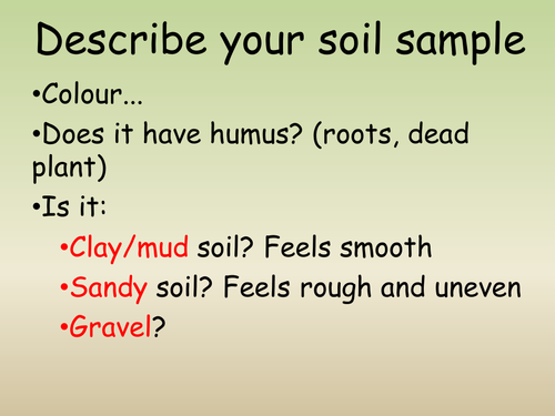 soil types ppt