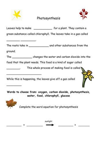 Photosynthesis Worksheet By Geminiwhizz Teaching Resources Tes