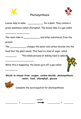 Photosynthesis worksheet