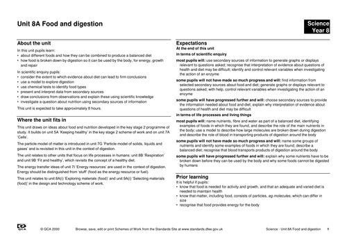 food and digestion scheme