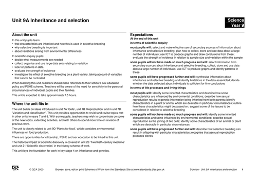 inheritance and selection scheme of work