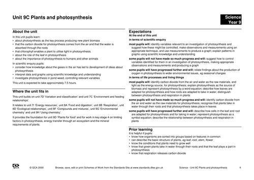 photosynthesis scheme of work