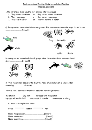 environment and feeding test