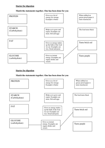 digestion match up activity