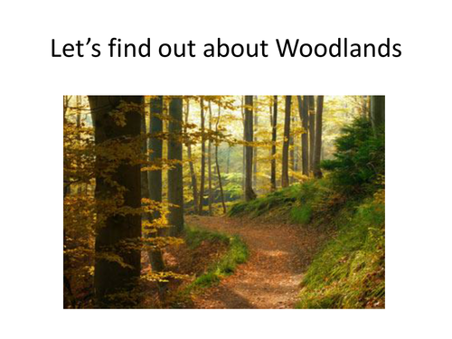 Let's find out about Woodlands