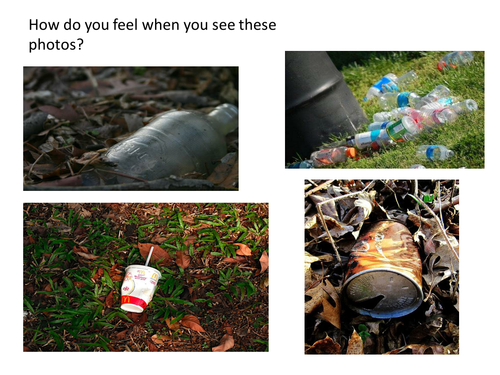 Litter posters