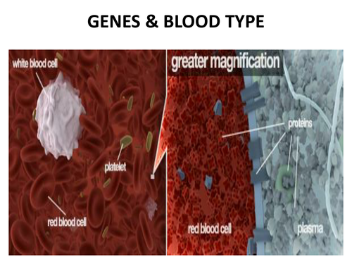 Gene and Blood types | Teaching Resources
