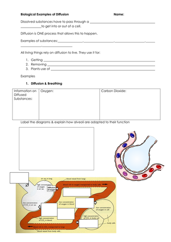 Diffusion & Biological Examples