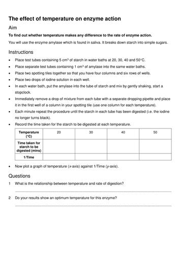 enzyme and starch practical